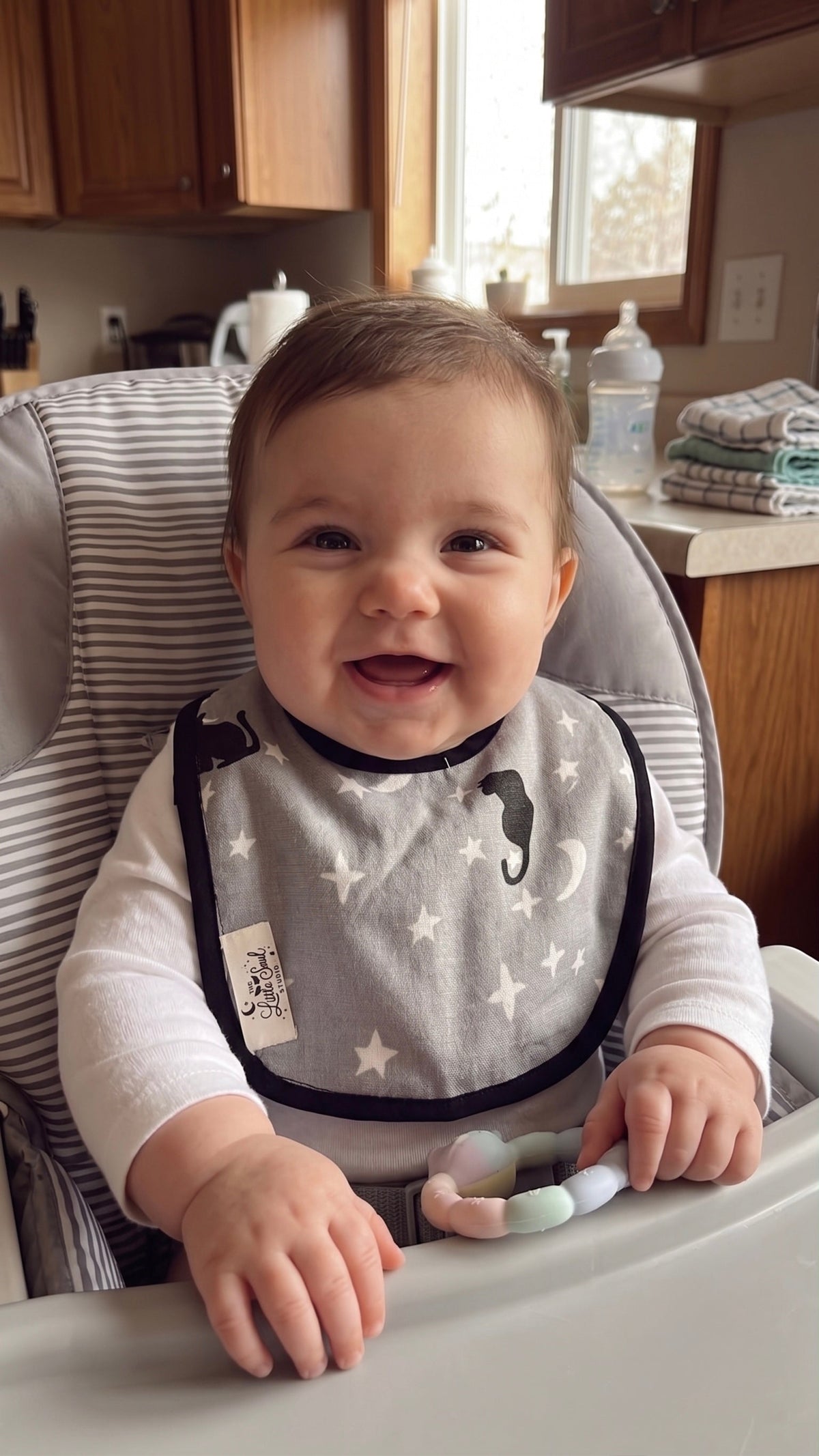 BIBS (Pack of 3)